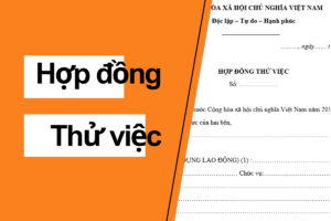 hợp đồng thử việc